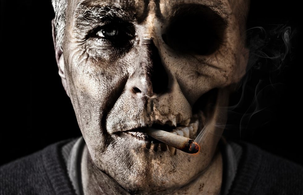 Foto di Comfreak da Pixabay 54544