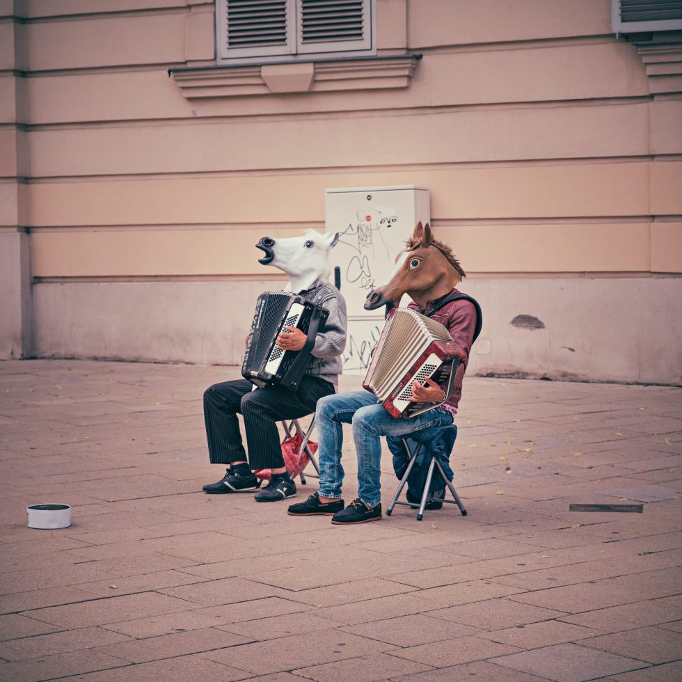 Photo by Dominik Vanyi on Unsplash