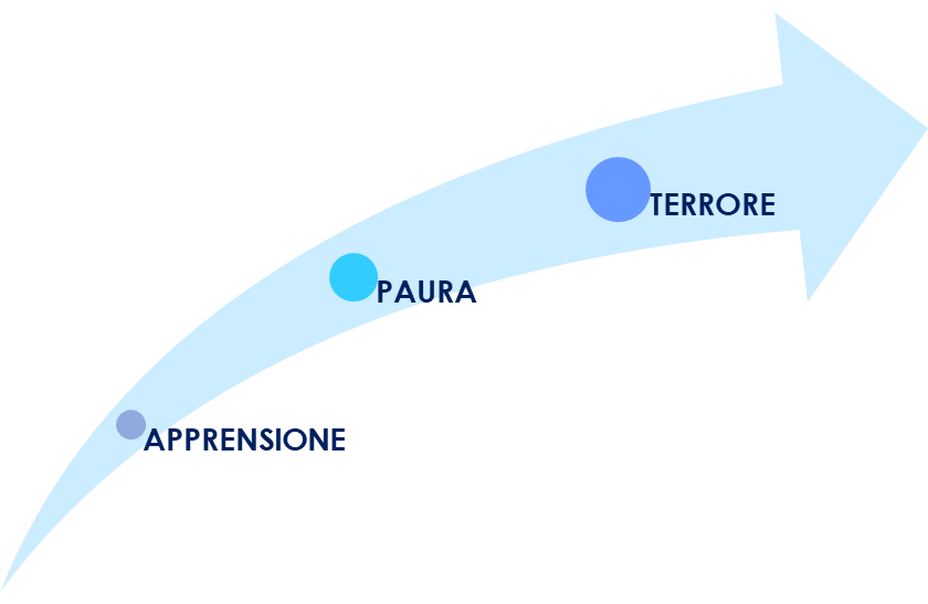 PAURA 6