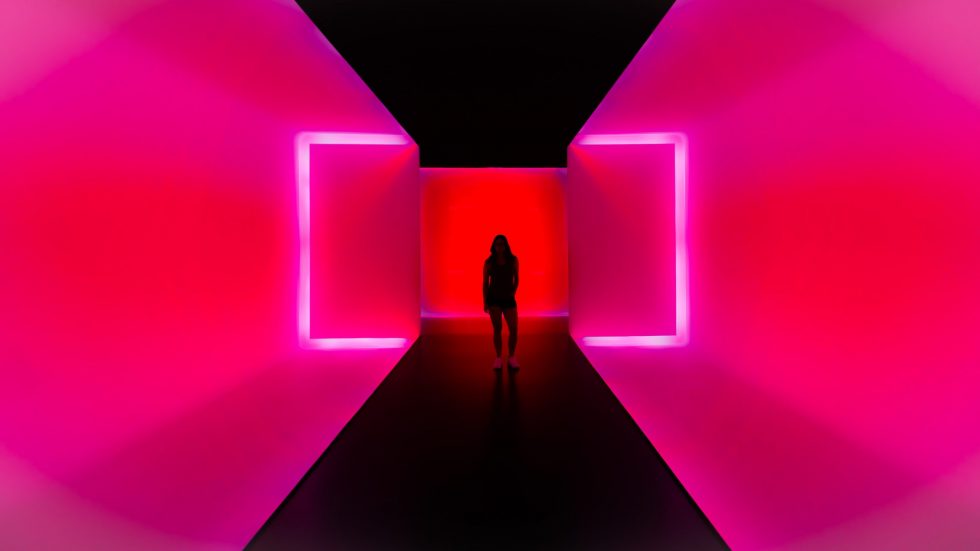 Photo by Tony Reid on Unsplash