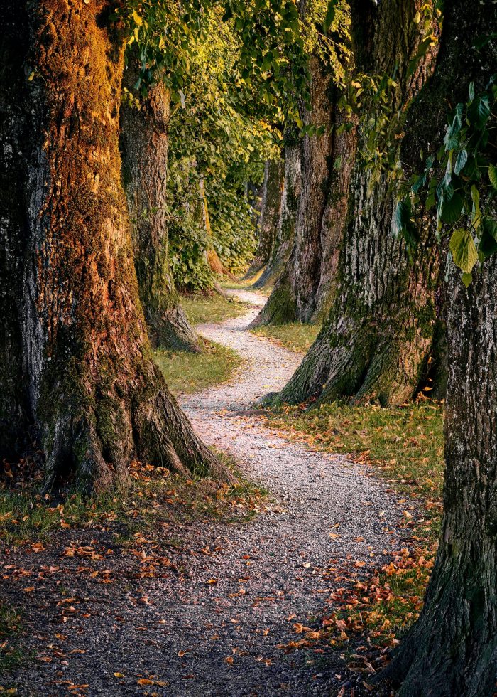 Photo by Mario Dobelmann on Unsplash