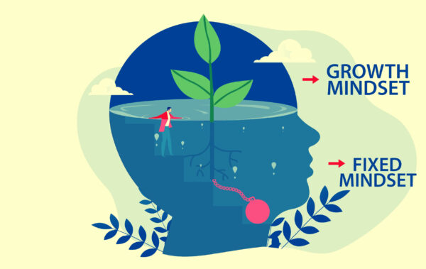 Photo 536449887 on Adobe Stock